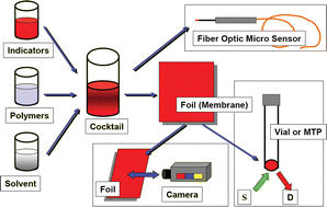 Graphical abstract: Optical multiple chemical sensing: status and current challenges