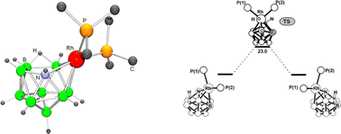 Graphical abstract: Polyhedral metallaheteroborane chemistry. Synthesis, spectroscopy, structure and dynamics of eleven-vertex {RhNB9} and {PtCB9} metallaheteroboranes.