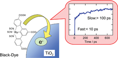 Graphical abstract: Photoinduced electron injection in black dye sensitized nanocrystalline TiO2 films