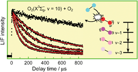 Graphical abstract: Vibrational relaxation of O2(X 3 Σ−g, v = 9–13) by collisions with O2