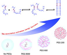 Graphical abstract: Consecutive GC base pairs determine the energy barrier of DNA duplex formation under molecularly crowded conditions