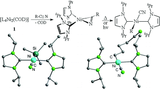 Graphical abstract: Efficient nickel mediated carbon–carbon bond cleavage of organonitriles