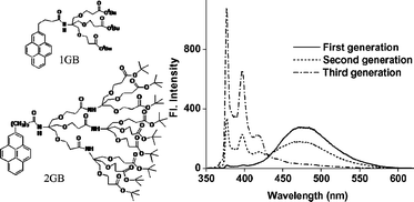 Graphical abstract: Photophysical properties of Newkome-type dendrimers in aqueous medium