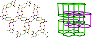 Graphical abstract: Polycatenated 3-connected hydrogen-bonding bilayer stabilized by argentophilic interactions