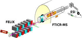 Graphical abstract: Reaction products in mass spectrometry elucidated with infrared spectroscopy