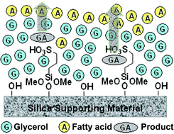 Graphical abstract: Significant enhancement on selectivity in silica supported sulfonic acids catalyzed reactions