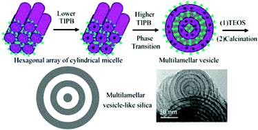 Graphical abstract: From cylindrical-channel mesoporous silica to vesicle-like silica with well-defined multilamella shells and large inter-shell mesopores
