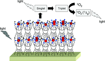 Graphical abstract: Photoresponsive multilayer films by assembling cationic amphiphilic cyclodextrins and anionic porphyrins at the air/water interface