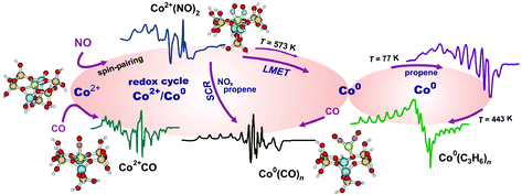 Graphical abstract: Co2+/Co0 redox couple revealed by EPR spectroscopy triggers preferential coordination of reactants during SCR of NOx with propene over cobalt-exchanged zeolites