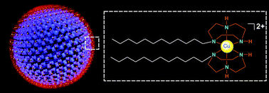 Graphical abstract: A novel class of metal-directed supramolecular DNA-delivery systems
