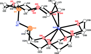 Graphical abstract: Sulfimidation—a new and versatile strategy for the post ring-closure derivatisation of mixed thia/oxa crowns