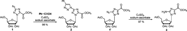 Graphical abstract: Synthesis of bitriazolyl nucleosides and unexpectedly different reactivity of azidotriazole nucleoside isomers in the Huisgen reaction