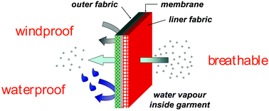 Graphical abstract: Breathable polyurethane membranes for textile and related industries