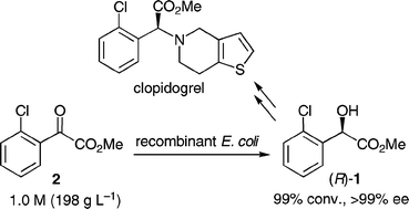 Graphical abstract: Highly enantioselective and efficient synthesis of methyl (R)-o-chloromandelate with recombinant E. coli: toward practical and green access to clopidogrel