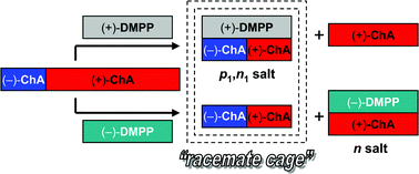 Graphical abstract: The racemate cage. Influence of p1,n1salt occurrence on enantiomer separation processes. The case of trans-chrysanthemic acid