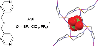 Graphical abstract: A coordination polymer strategy for anion encapsulation: anion–π interactions in (4,4) nets formed from Ag(i) salts and a flexible pyrimidine ligand