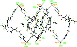 Graphical abstract: Hydrogen bond assisted helical self-assembly into [n]catenane