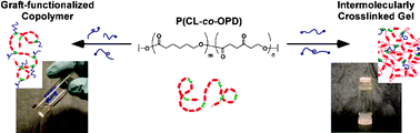 Graphical abstract: Cross-linked and functionalized polyester materials constructed using ketoxime ether linkages