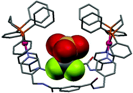 Graphical abstract: Synthesis, structural characterization and anion binding studies of palladium macrocycles with hydrogen-bonding ligands