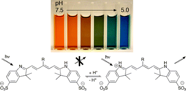 Graphical abstract: Optimized pH-responsive cyanine fluorochromes for detection of acidic environments