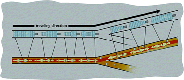 Graphical abstract: Teaching hydrogels how to move like an earthworm