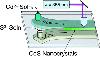 Graphical abstract: Spatially-resolved analysis of nanoparticle nucleation and growth in a microfluidic reactor