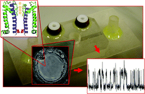 Graphical abstract: Controlled delivery of proteins into bilayer lipid membranes on chip