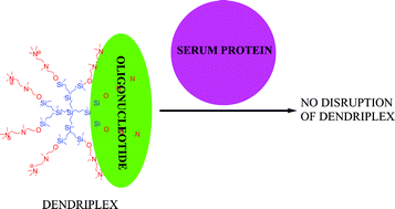 Graphical abstract: Water-soluble carbosilane dendrimers protect phosphorothioate oligonucleotides from binding to serum proteins