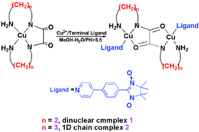 Graphical abstract: Magnetic properties tuned by oxamido bridging ligand derivatives in two new hybrid organic inorganic nitronyl nitroxide copper(ii) complexes
