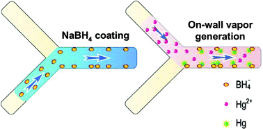 Graphical abstract: Coating of a thin layer of NaBH4 solution for mercury vapor generation coupled to atomic fluorescence spectrometry