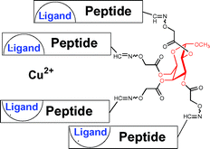 Graphical abstract: Synthesis of functionalized de novo designed 8–16 kDa model proteins towards metal ion-binding and esterase activity