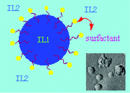 Graphical abstract: Novel microemulsions: ionic liquid-in-ionic liquid