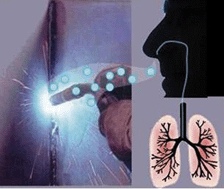 Graphical abstract: Speciation and toxicological relevance of manganese in humans