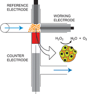 Graphical abstract: In-situ monitoring of H2O2 degradation by live cells using voltammetric detection in a lab-on-valve system