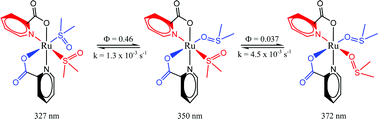 Graphical abstract: Phototriggered sulfoxide isomerization in [Ru(pic)2(dmso)2]