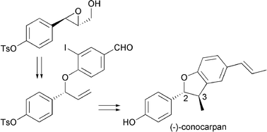 Graphical abstract: Total synthesis of (–)-conocarpan and assignment of the absolute configuration by chemical methods