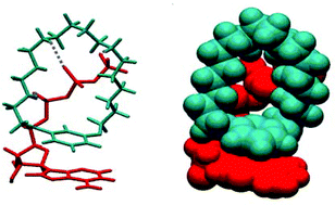 Graphical abstract: Oxaaza cyclophanes in the recognition of nucleotides. The role of oxygen and electron-rich aromatic rings