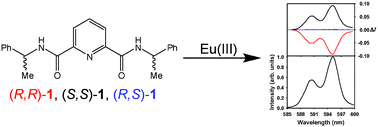 Graphical abstract: Optical isomers of N,N′-bis(1-phenylethyl)-2,6-pyridinedicarboxamide coordinated to europium(iii) ions as reliable circularly polarized luminescence calibration standards