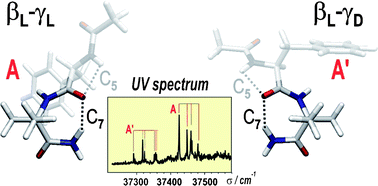 Graphical abstract: Intramolecular recognition in a jet-cooled short peptide chain: γ-turn helicity probed by a neighbouring residue