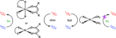 Graphical abstract: Cyclometalated iridium and platinum complexes as singlet oxygen photosensitizers: quantum yields, quenching rates and correlation with electronic structures