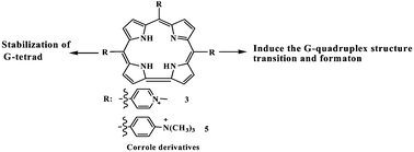 Graphical abstract: Cationic corrole derivatives: a new family of G-quadruplex inducing and stabilizing ligands