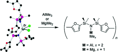 Graphical abstract: Deactivation pathways of ethylene polymerization catalysts derived from titanium and zirconium 1,3-bis(furyl)-1,1,3,3-tetramethyldisilazide complexes