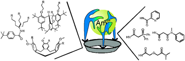 Graphical abstract: Influence of the platform in multicoordinate ligands for actinide partitioning