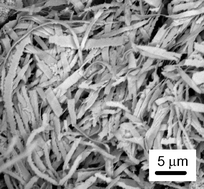 Graphical abstract: Facile synthesis of silver nano/micro-ribbons or saws assisted by polyoxomolybdate as mediator agent and vanadium(iv) as reducing agent