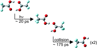 Graphical abstract: Vibrational dynamics of carboxylic acid dimers in gas and dilute solution