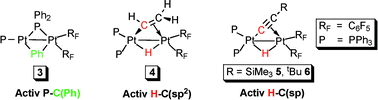 Graphical abstract: C–H and P–C(Ph) activation competitive processes caused by interaction with the solvate [cis-Pt(C6F5)2(thf)2]