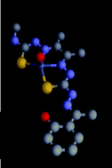 Graphical abstract: The exocyclic functionalisation of bis(thiosemicarbazonate) complexes of zinc and copper: the synthesis of monomeric and dimeric species