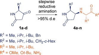 Graphical abstract: Short and efficient diastereoselective synthesis of pyrrolidinone-containing dipeptide analogues