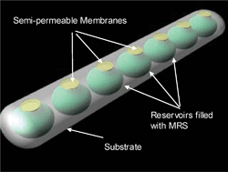 Graphical abstract: Multi-reservoir device for detecting a soluble cancer biomarker