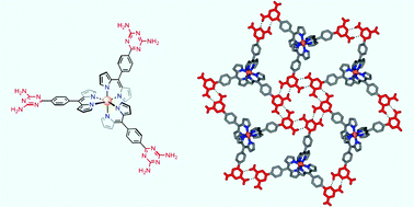 Graphical abstract: Metallotectons: using enantiopure tris(dipyrrinato)cobalt(iii) complexes to build chiral molecular materials